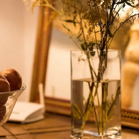 Casa vacanze Tuguest Pool House Albaicin Granada